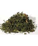 Nettle