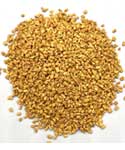 Fenugreek Seed