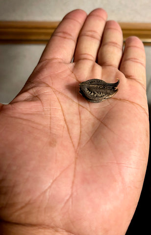 Devil Claw Seed