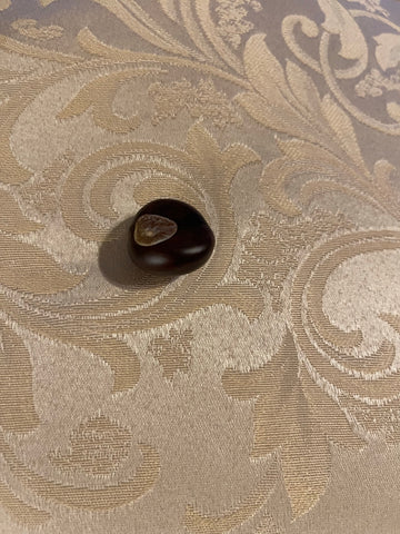 Lucky Buckeye Nut